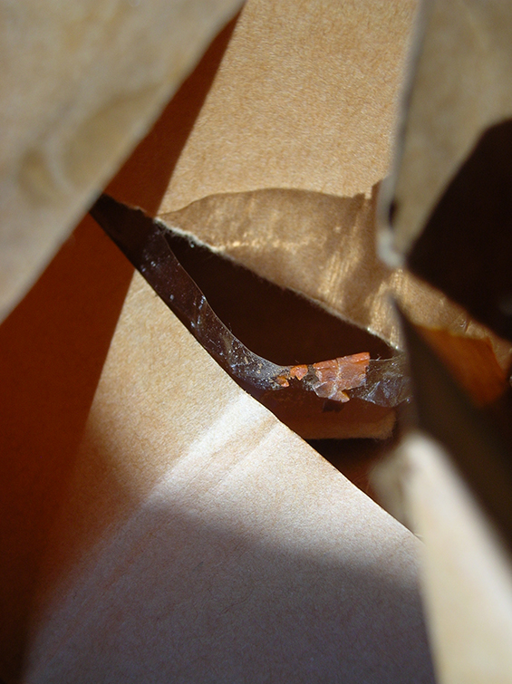 11 de agosto 12.10 025